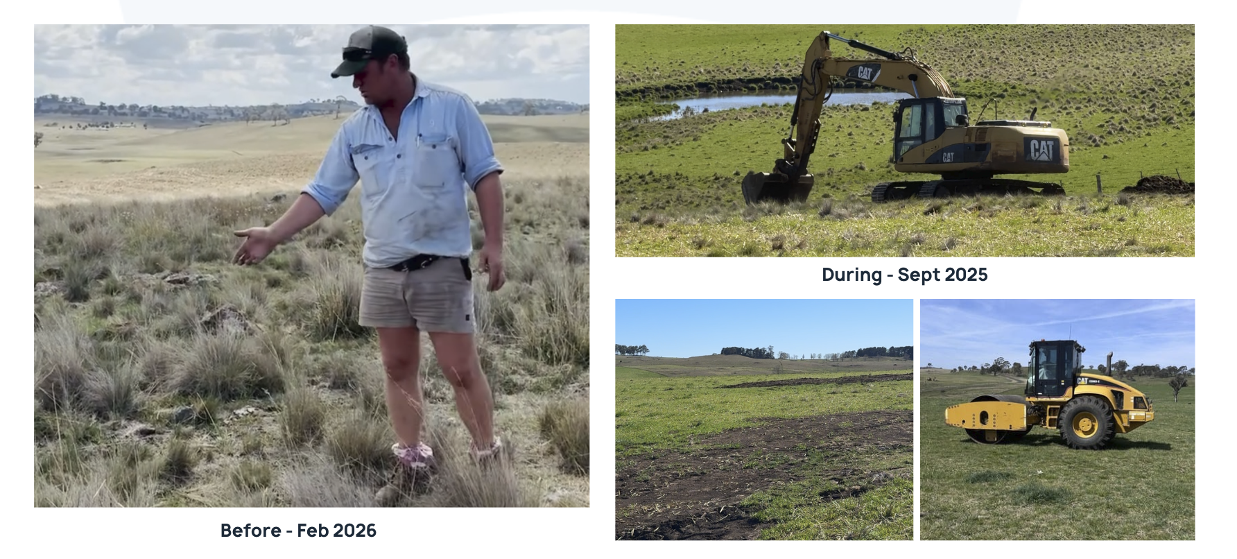 Black Angus Female Sale Glenavon Angus