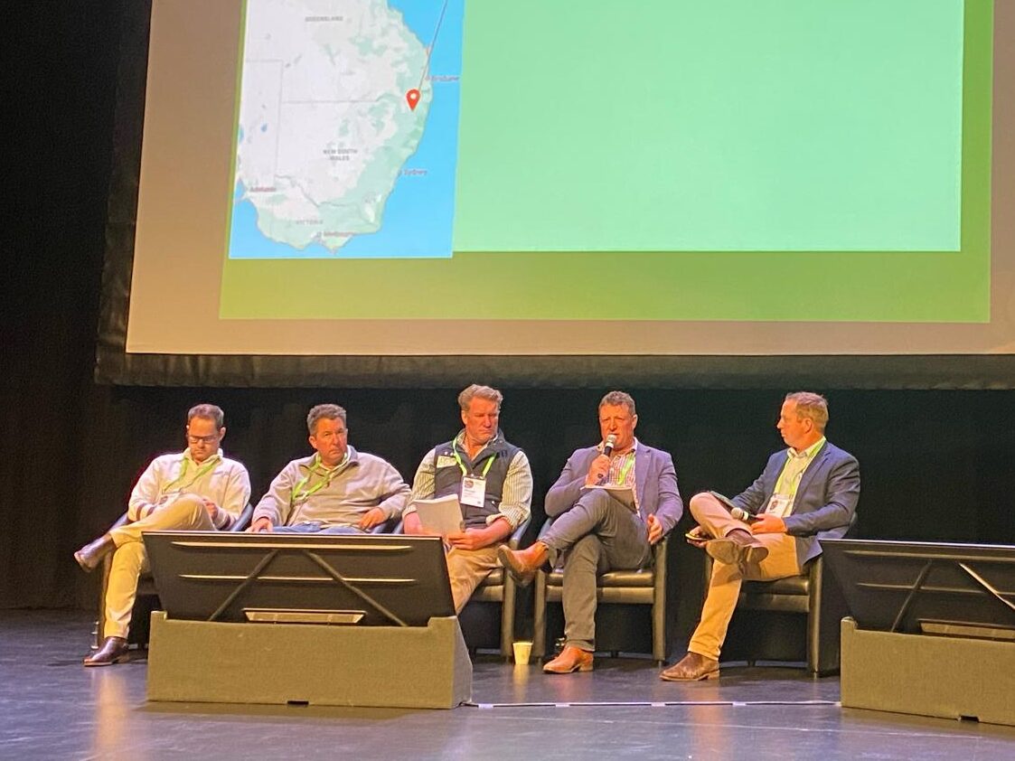 Black Angus Female Sale Glenavon Angus